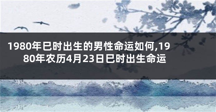 1980年巳时出生的男性命运如何,1980年农历4月23日巳时出生命运