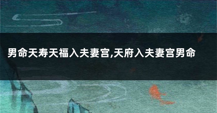 男命天寿天福入夫妻宫,天府入夫妻宫男命