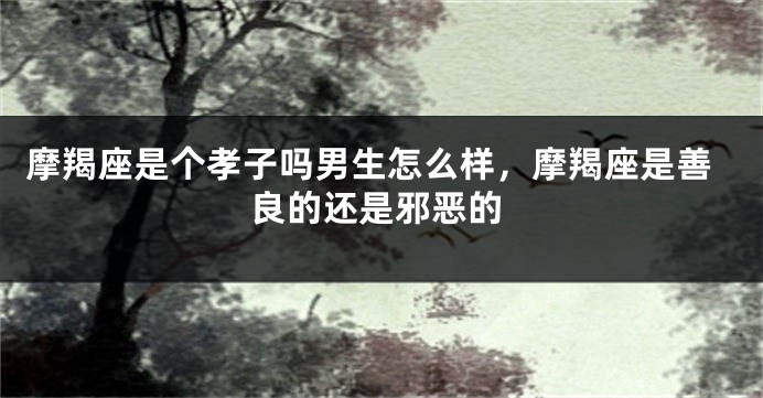 摩羯座是个孝子吗男生怎么样,摩羯座是善良的还是邪恶的