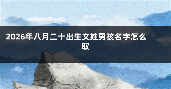 2026年八月二十出生文姓男孩名字怎么取