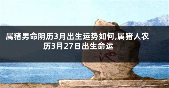 属猪男命阴历3月出生运势如何,属猪人农历3月27日出生命运