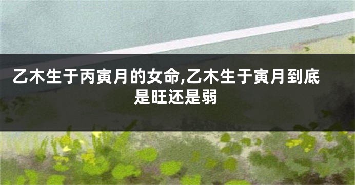 乙木生于丙寅月的女命,乙木生于寅月到底是旺还是弱