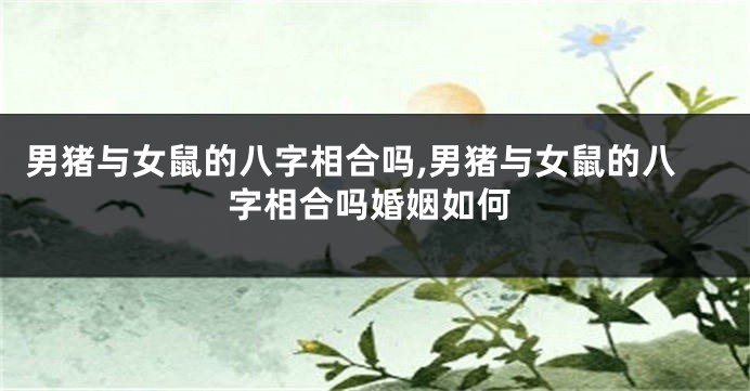 男猪与女鼠的八字相合吗,男猪与女鼠的八字相合吗婚姻如何