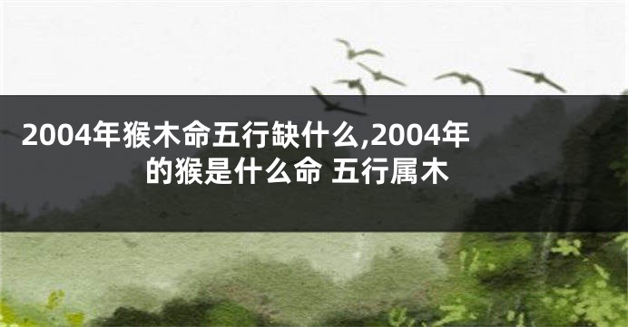 2004年猴木命五行缺什么,2004年的猴是什么命 五行属木