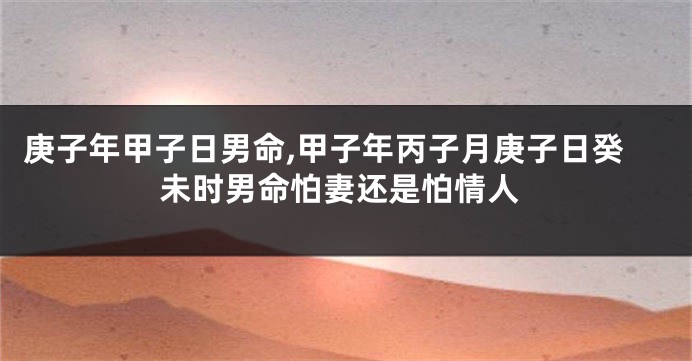 庚子年甲子日男命,甲子年丙子月庚子日癸未时男命怕妻还是怕情人