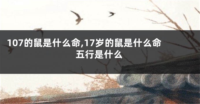 107的鼠是什么命,17岁的鼠是什么命五行是什么