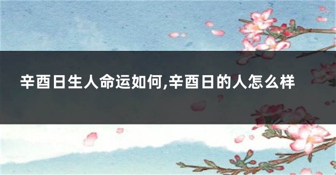 辛酉日生人命运如何,辛酉日的人怎么样