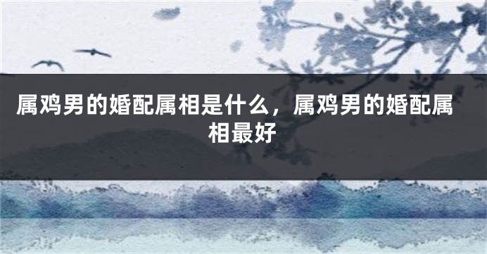 属鸡男的婚配属相是什么,属鸡男的婚配属相最好
