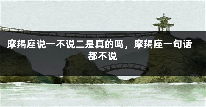 摩羯座说一不说二是真的吗,摩羯座一句话都不说