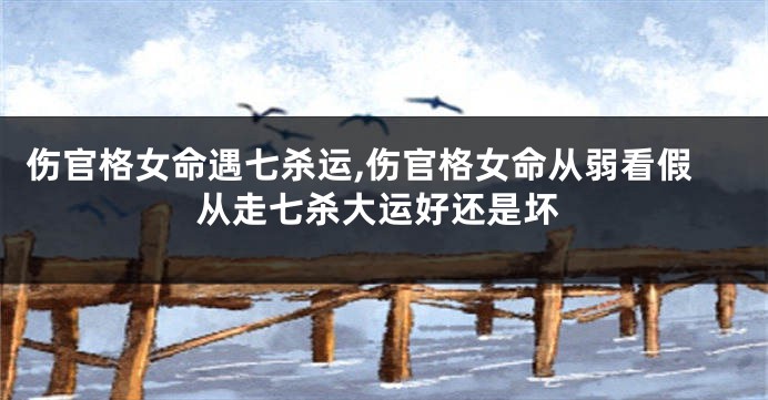 伤官格女命遇七杀运,伤官格女命从弱看假从走七杀大运好还是坏