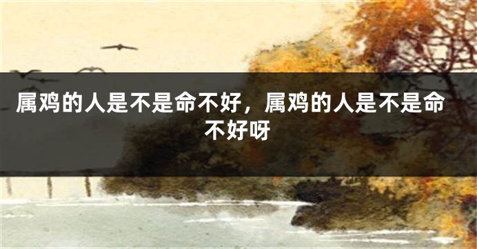 属鸡的人是不是命不好,属鸡的人是不是命不好呀