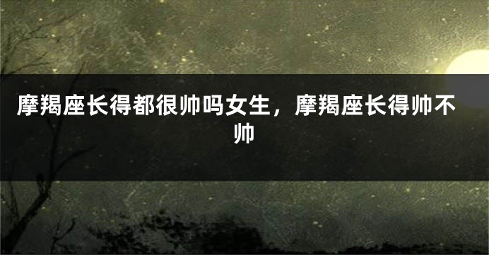 摩羯座长得都很帅吗女生,摩羯座长得帅不帅
