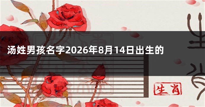 汤姓男孩名字2026年8月14日出生的