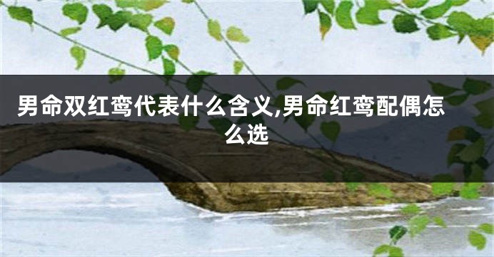 男命双红鸾代表什么含义,男命红鸾配偶怎么选