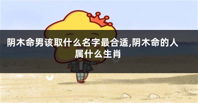 阴木命男该取什么名字最合适,阴木命的人属什么生肖