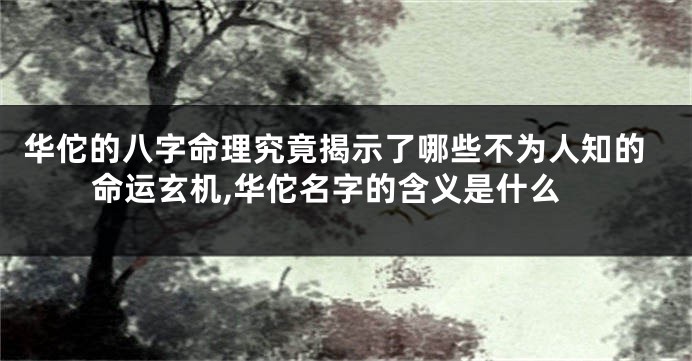 华佗的八字命理究竟揭示了哪些不为人知的命运玄机,华佗名字的含义是什么