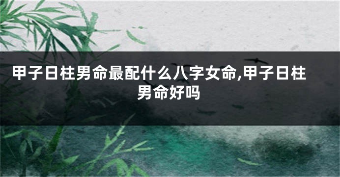 甲子日柱男命最配什么八字女命,甲子日柱男命好吗