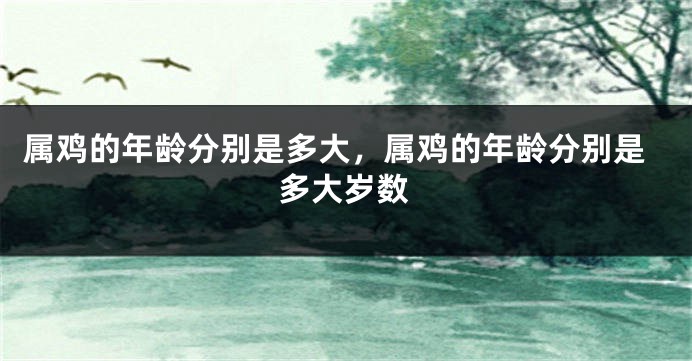 属鸡的年龄分别是多大，属鸡的年龄分别是多大岁数