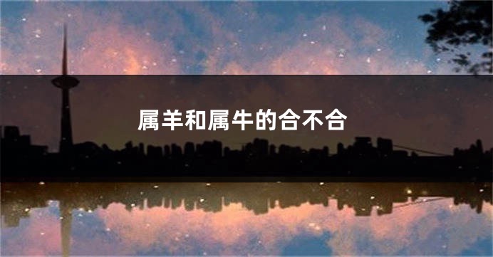 属羊和属牛的合不合
