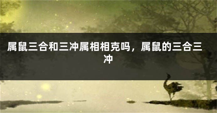 属鼠三合和三冲属相相克吗,属鼠的三合三冲