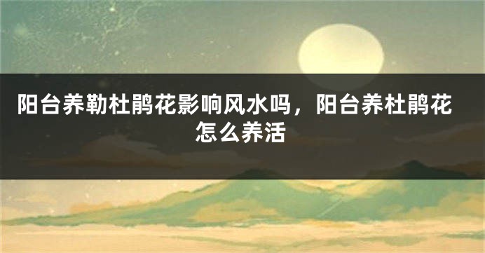 阳台养勒杜鹃花影响风水吗,阳台养杜鹃花怎么养活