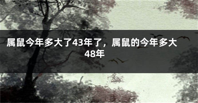 属鼠今年多大了43年了，属鼠的今年多大48年