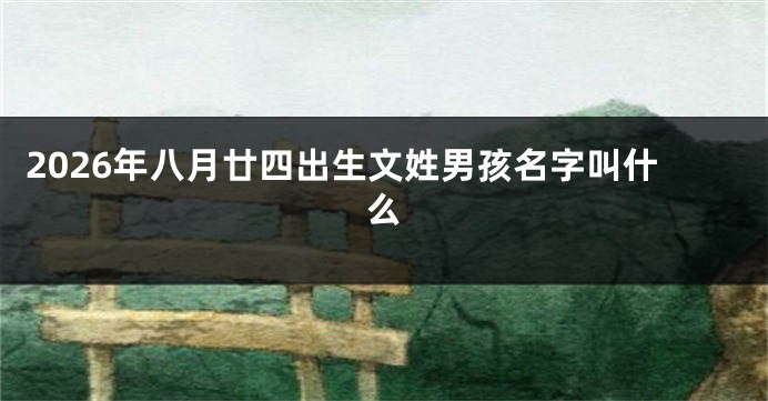 2026年八月廿四出生文姓男孩名字叫什么