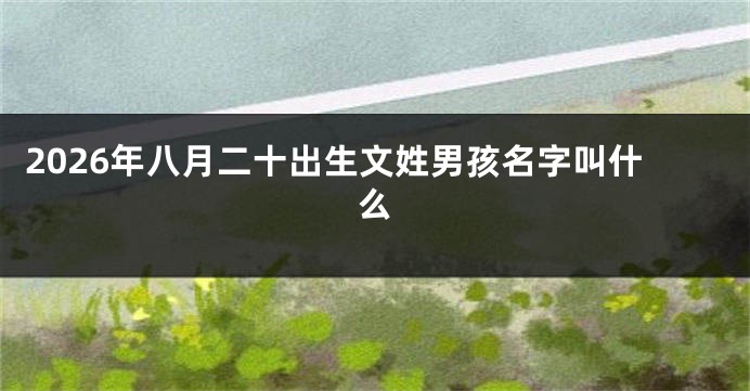 2026年八月二十出生文姓男孩名字叫什么