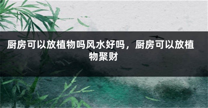厨房可以放植物吗风水好吗，厨房可以放植物聚财