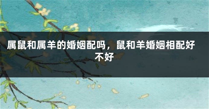 属鼠和属羊的婚姻配吗,鼠和羊婚姻相配好不好