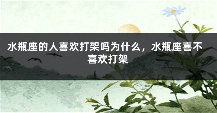 水瓶座的人喜欢打架吗为什么，水瓶座喜不喜欢打架