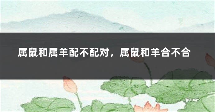 属鼠和属羊配不配对,属鼠和羊合不合