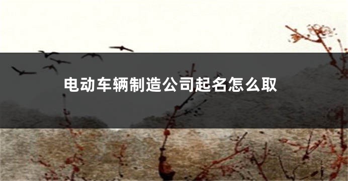 电动车辆制造公司起名怎么取