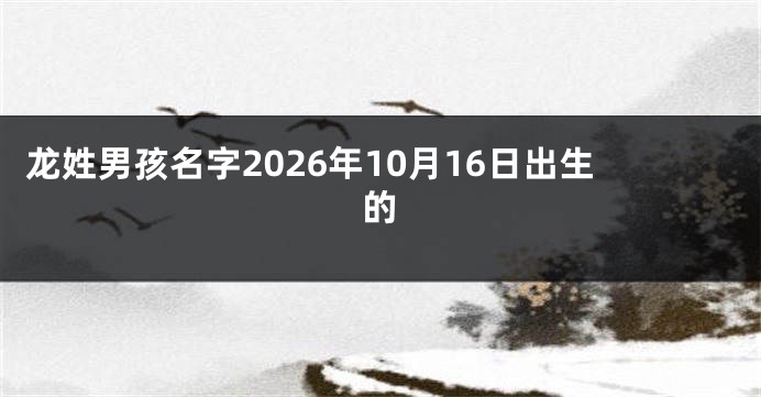龙姓男孩名字2026年10月16日出生的
