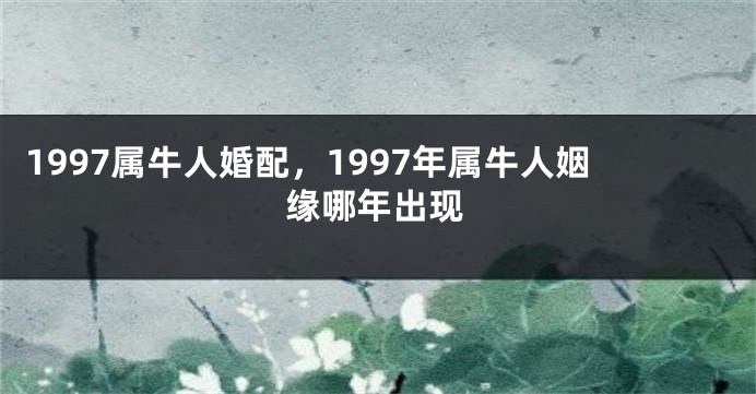 1997属牛人婚配，1997年属牛人姻缘哪年出现