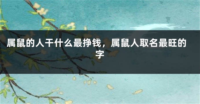 属鼠的人干什么最挣钱,属鼠人取名最旺的字