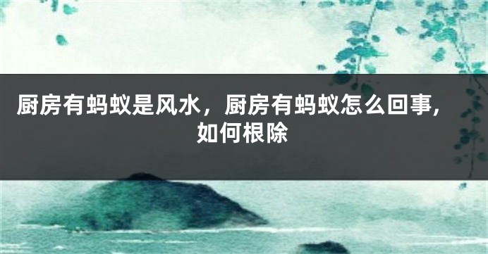 厨房有蚂蚁是风水，厨房有蚂蚁怎么回事,如何根除