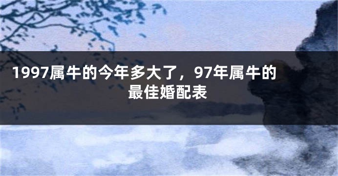 1997属牛的今年多大了，97年属牛的最佳婚配表