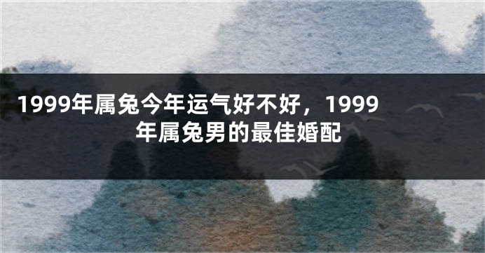 1999年属兔今年运气好不好，1999年属兔男的最佳婚配