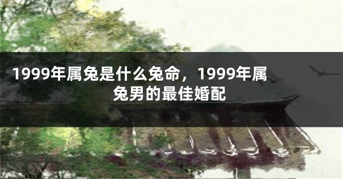 1999年属兔是什么兔命，1999年属兔男的最佳婚配