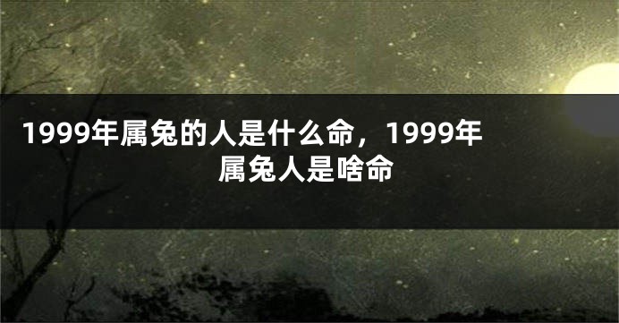1999年属兔的人是什么命，1999年属兔人是啥命