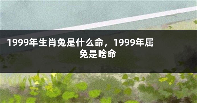 1999年生肖兔是什么命，1999年属兔是啥命