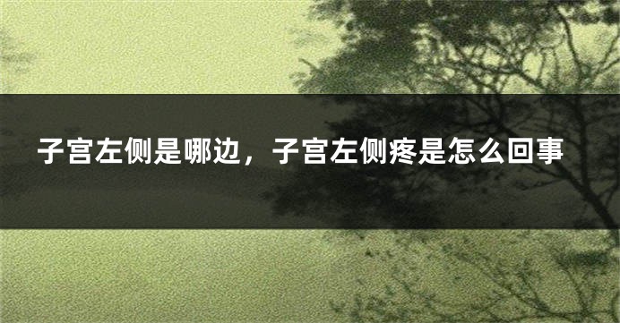 子宫左侧是哪边，子宫左侧疼是怎么回事