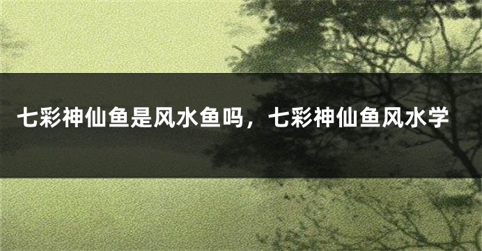 七彩神仙鱼是风水鱼吗，七彩神仙鱼风水学