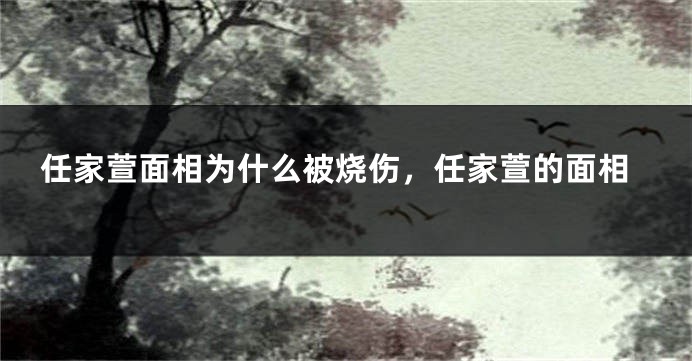 任家萱面相为什么被烧伤，任家萱的面相