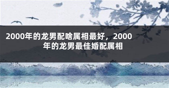 2000年的龙男配啥属相最好，2000年的龙男最佳婚配属相