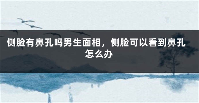侧脸有鼻孔吗男生面相，侧脸可以看到鼻孔怎么办
