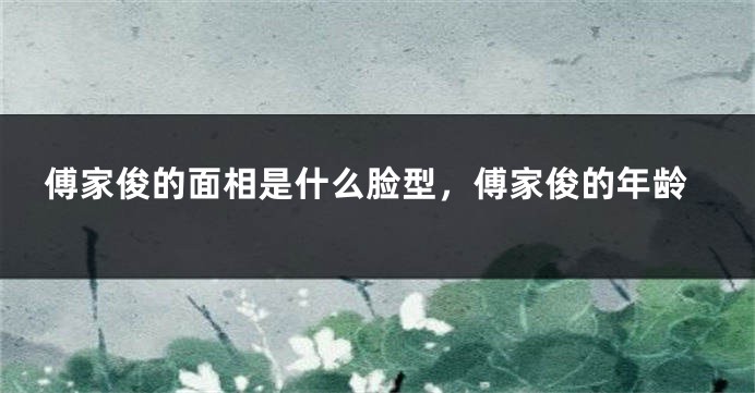 傅家俊的面相是什么脸型，傅家俊的年龄