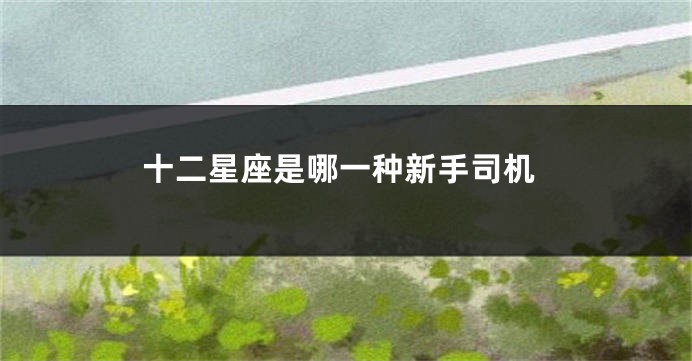 十二星座是哪一种新手司机