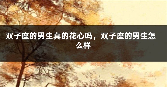 双子座的男生真的花心吗，双子座的男生怎么样